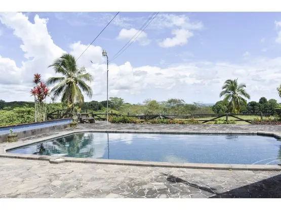 Siempre Farm and Sanctuary - image 7