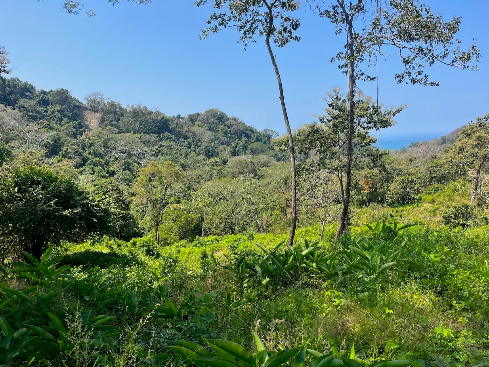 10,000m² Ocean-View Lot in Gated Community – 15 Minutes from Santa Teresa - image 2