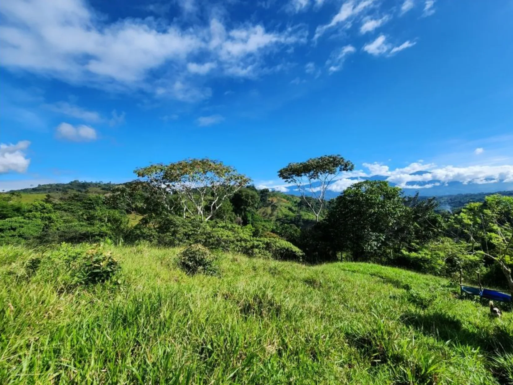 MOUNTAIN VIEW FARM & HOUSE IN PACUARITO, PEREZ ZELEDON - image 5