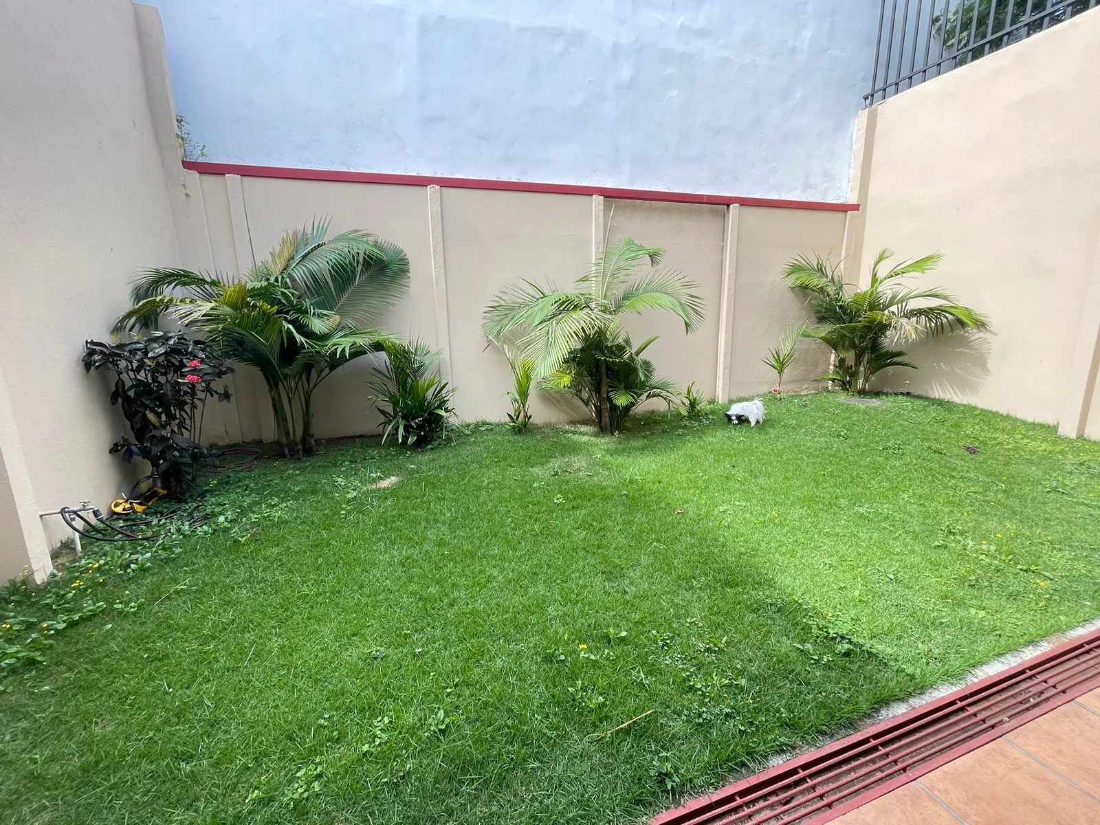 For Sale: Independent House in Trejos Montealegre – Escazú - image 6