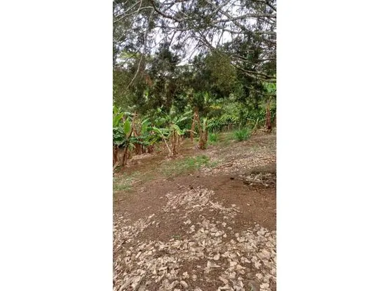 Lot for Sale in Santa Bárbara de Heredia - image 10