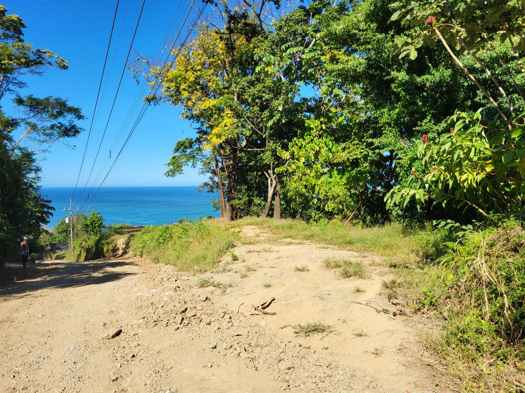 Beautiful 1.8 (18,000 m2) Hectare Mountainside Ocean View Lot in Mal Pais - image 8