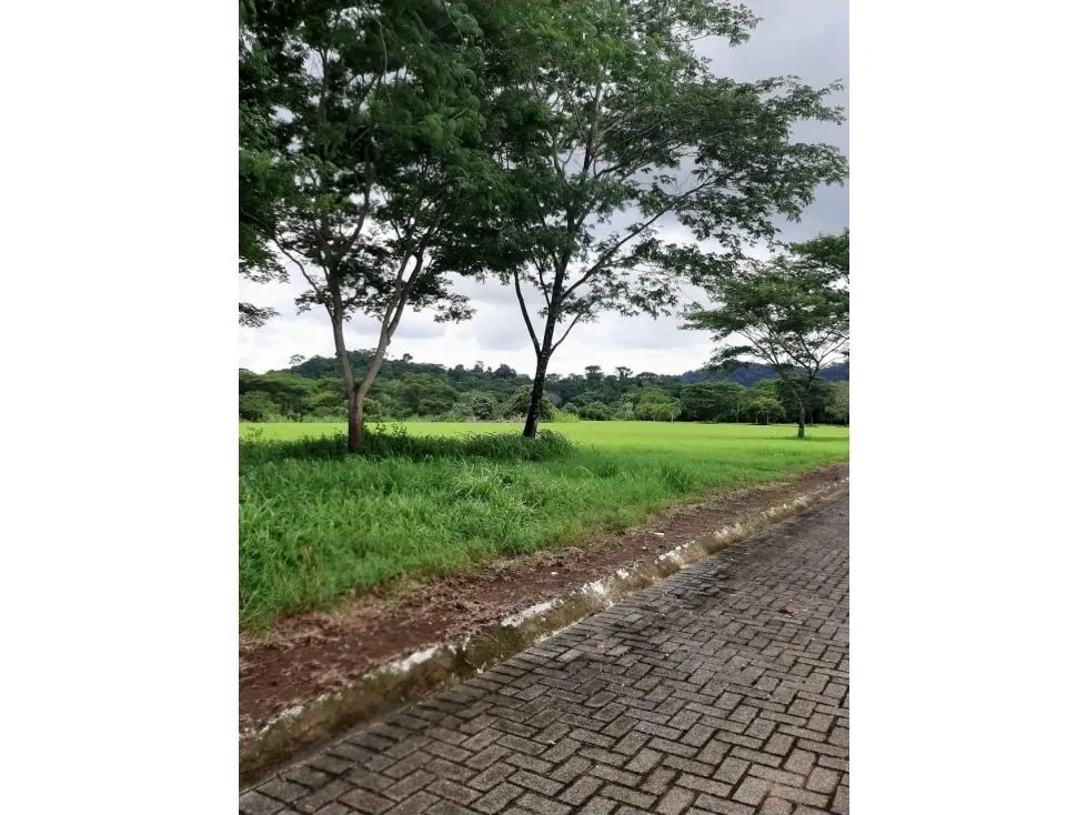 Spectacular 5062 mts Lot In A Private Community near Playa Hermosa - image 7