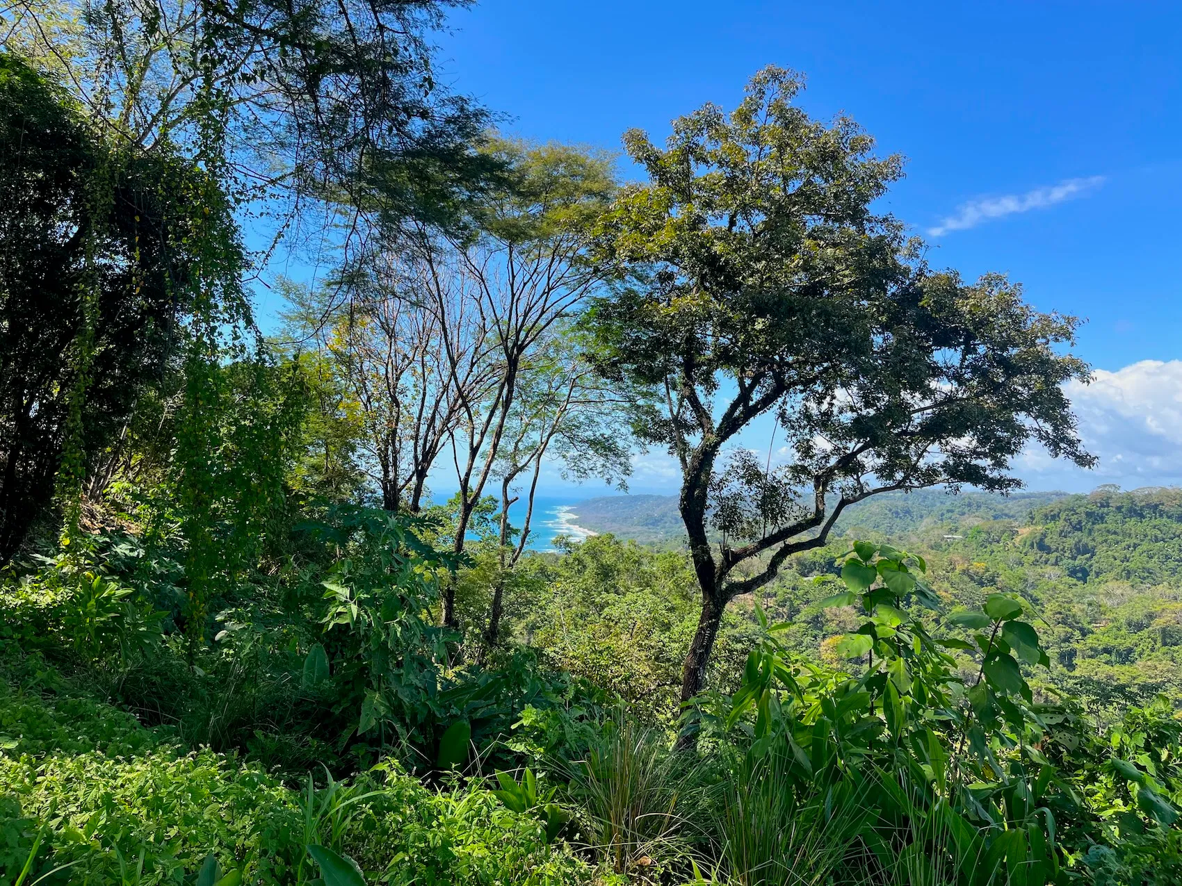 Ocean View Lot 10000m2 in Mal País – 2 Ready-to-Build Platforms - image 7