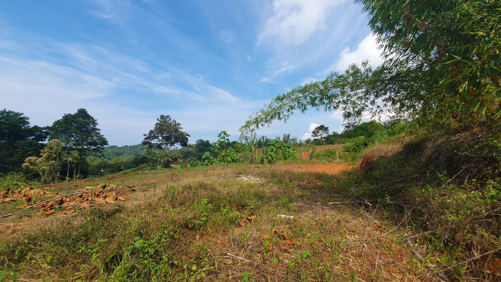 PEACEFUL AND PRIVATE LAND IN PUNTA MALA, OJOCHAL - image 6