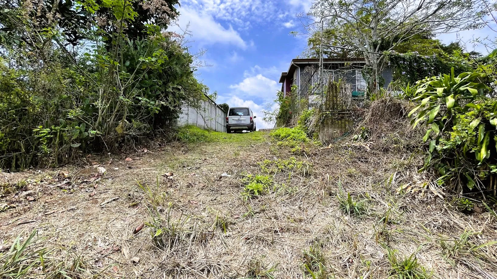 LAND FOR SALE IN SAN ISIDRO, SAN RAMON - image 10