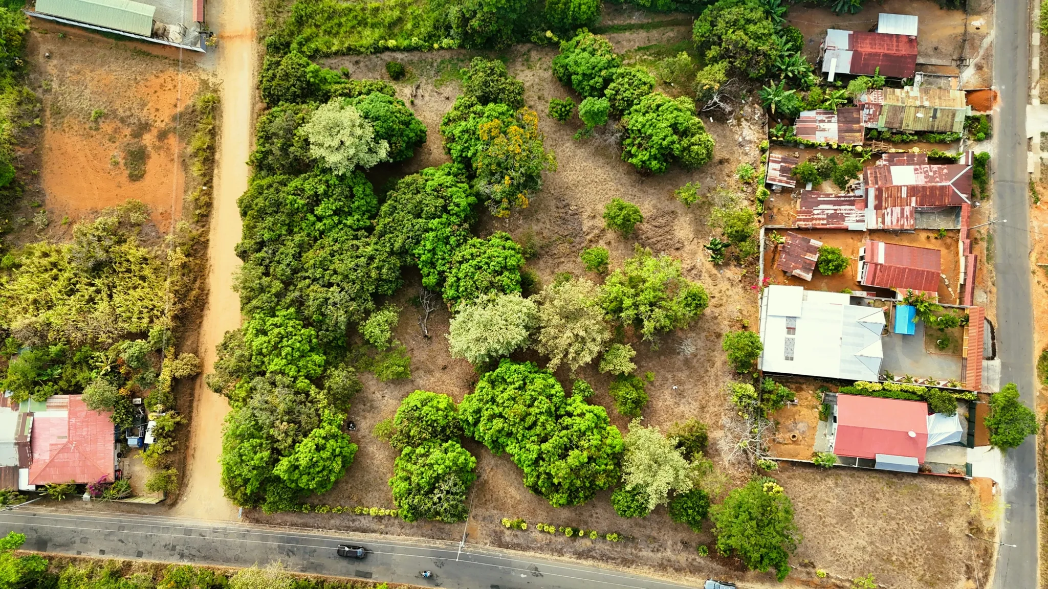 FRUIT TREE PROPERTY IN PEREZ ZELEDON, COSTA RICA - image 2
