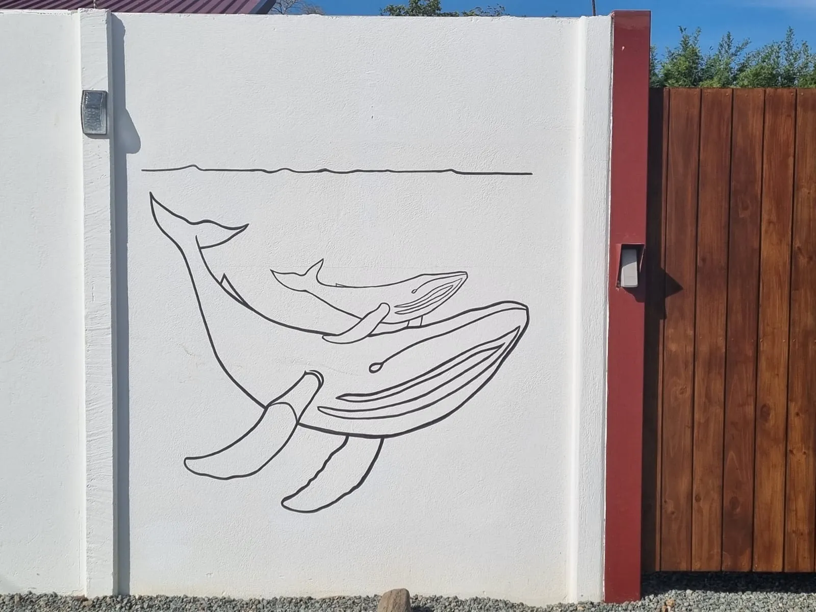 PRIME INVESTMENT VILLAS IN UVITA, PUNTARENAS - image 15