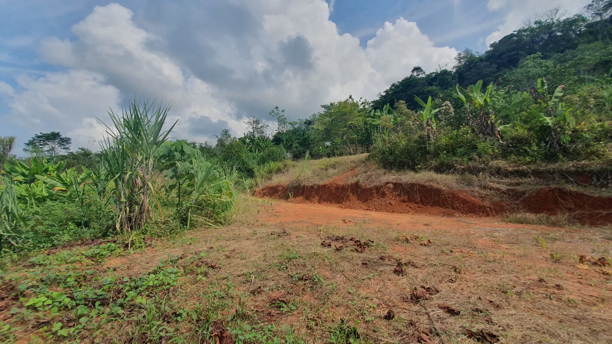 PEACEFUL AND PRIVATE LAND IN PUNTA MALA, OJOCHAL - image 14