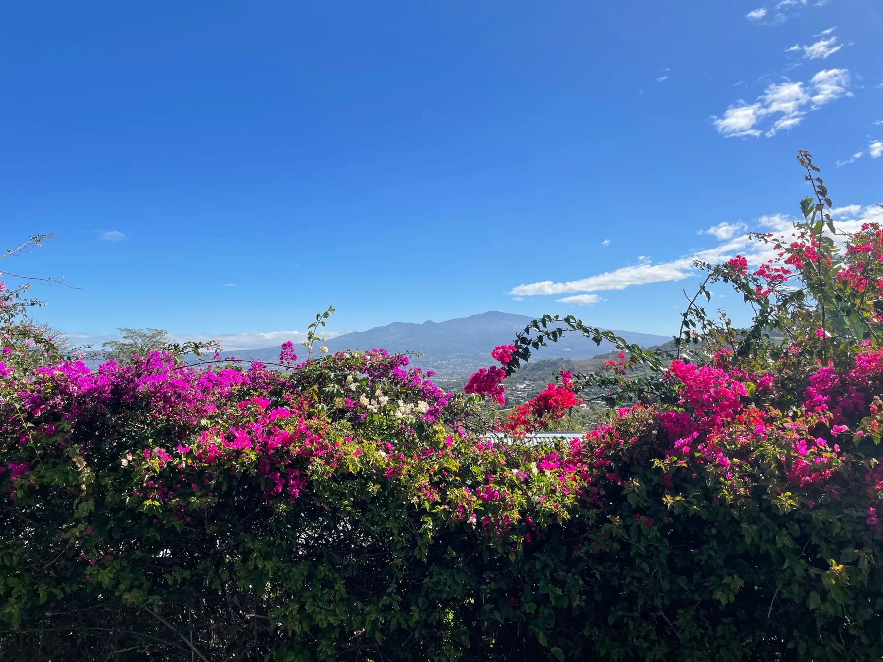 Sale / Luxury Property (With Permission for Commercial Use), San Antonio, Escazu, San Jose  - image 7
