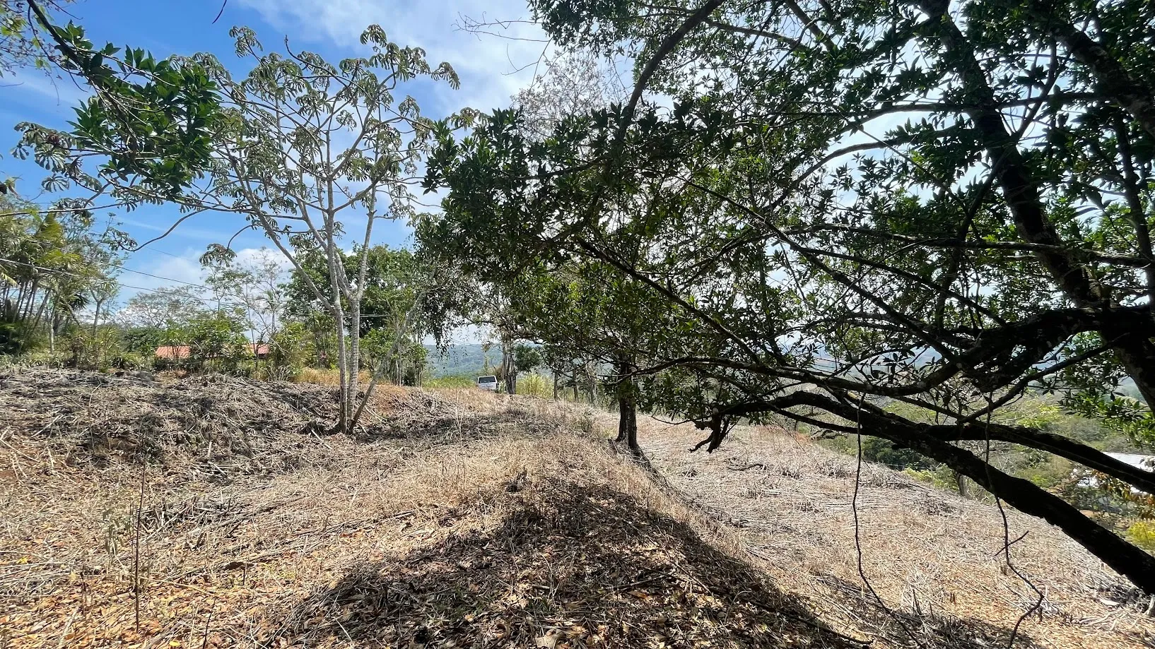 LAND FOR SALE IN SAN PEDRO, SAN RAMON - image 2