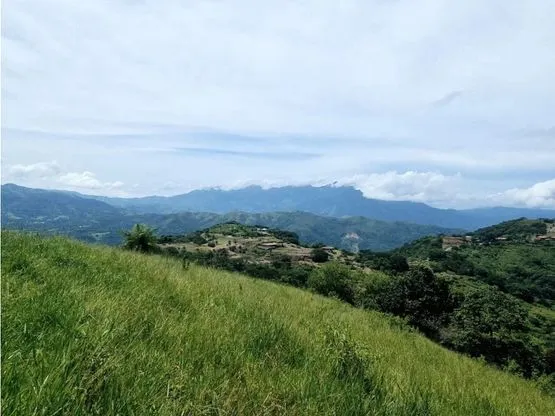 For sale: Developable land in Desmonte - image 9