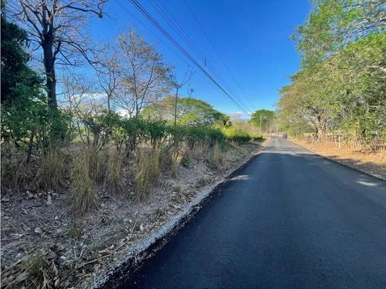 For Sale: Beautiful flat lot in La Ceiba of Orotina - image 2