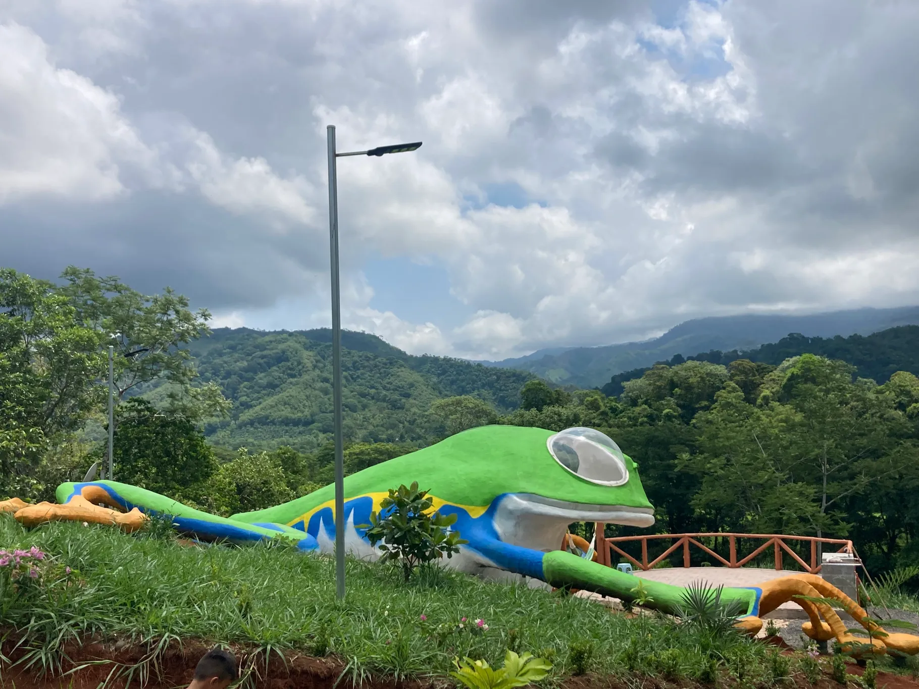 Frog Design House - image 4