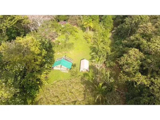 102 hectares of Land in Nanabri, Limón - image 3