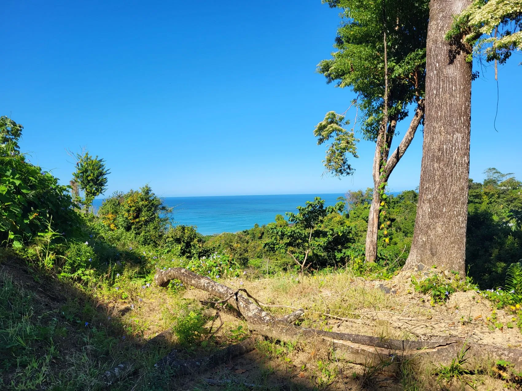 Beautiful 1.8 (18,000 m2) Hectare Mountainside Ocean View Lot in Mal Pais - image 14