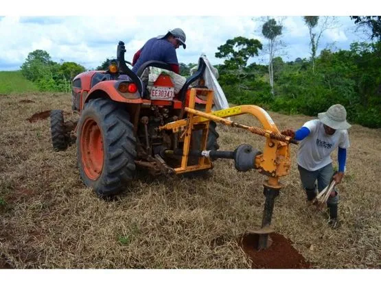 SE VENDE FINCA DE CACAO EN PRODUCCIÓN Y CRECIMIENTO - image 13