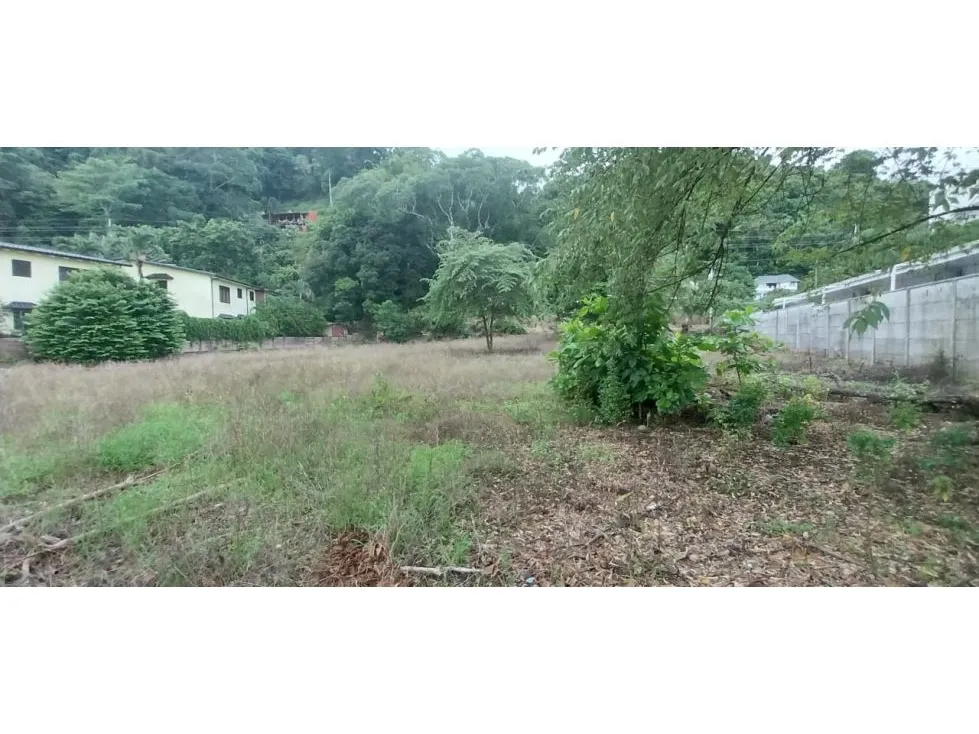  Lot Of Land With a Great Potential To Invesment - image 9