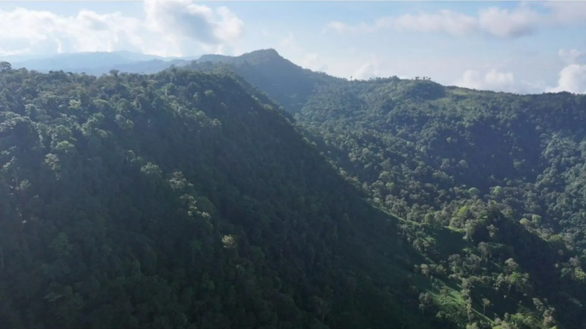 PARADISIACAL 335 ACRES PROPERTY WITH OCEAN VIEW TO UVITA, PUNTARENAS - image 7