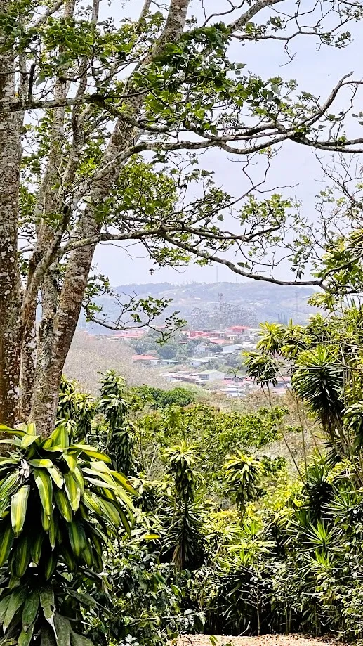 LOT FOR SALE - SAN ISIDRO, SAN RAMON - image 2