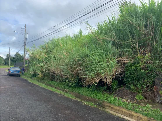 SE VENDE FOR SALE Lote para construir San Rafael Heredia Kity Mat - image 8