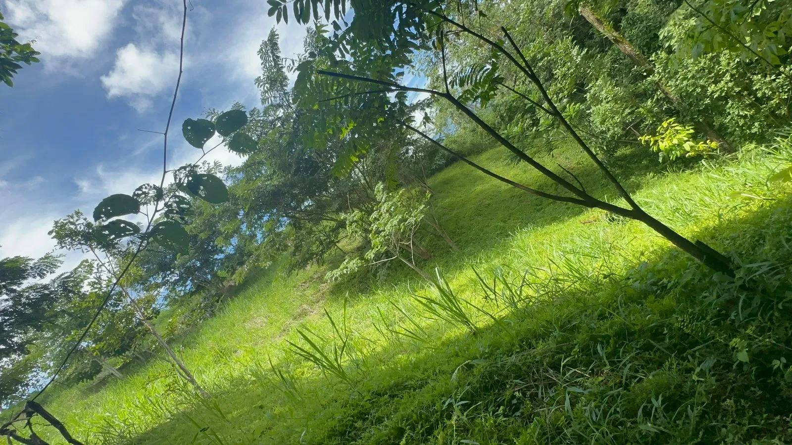 Build Your Future in Turrubares: Nature, Development, and Quality of Life - image 9