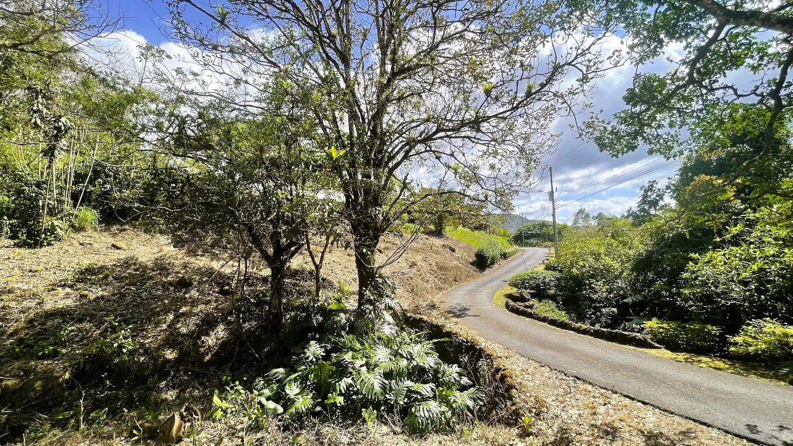 OCEAN VIEW LOT FOR SALE IN SANTIAGO, SAN RAMON - image 7