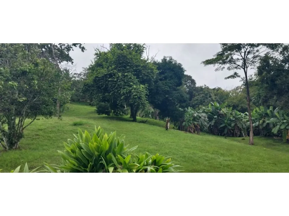 Practical home in Manuel Antonio - image 2