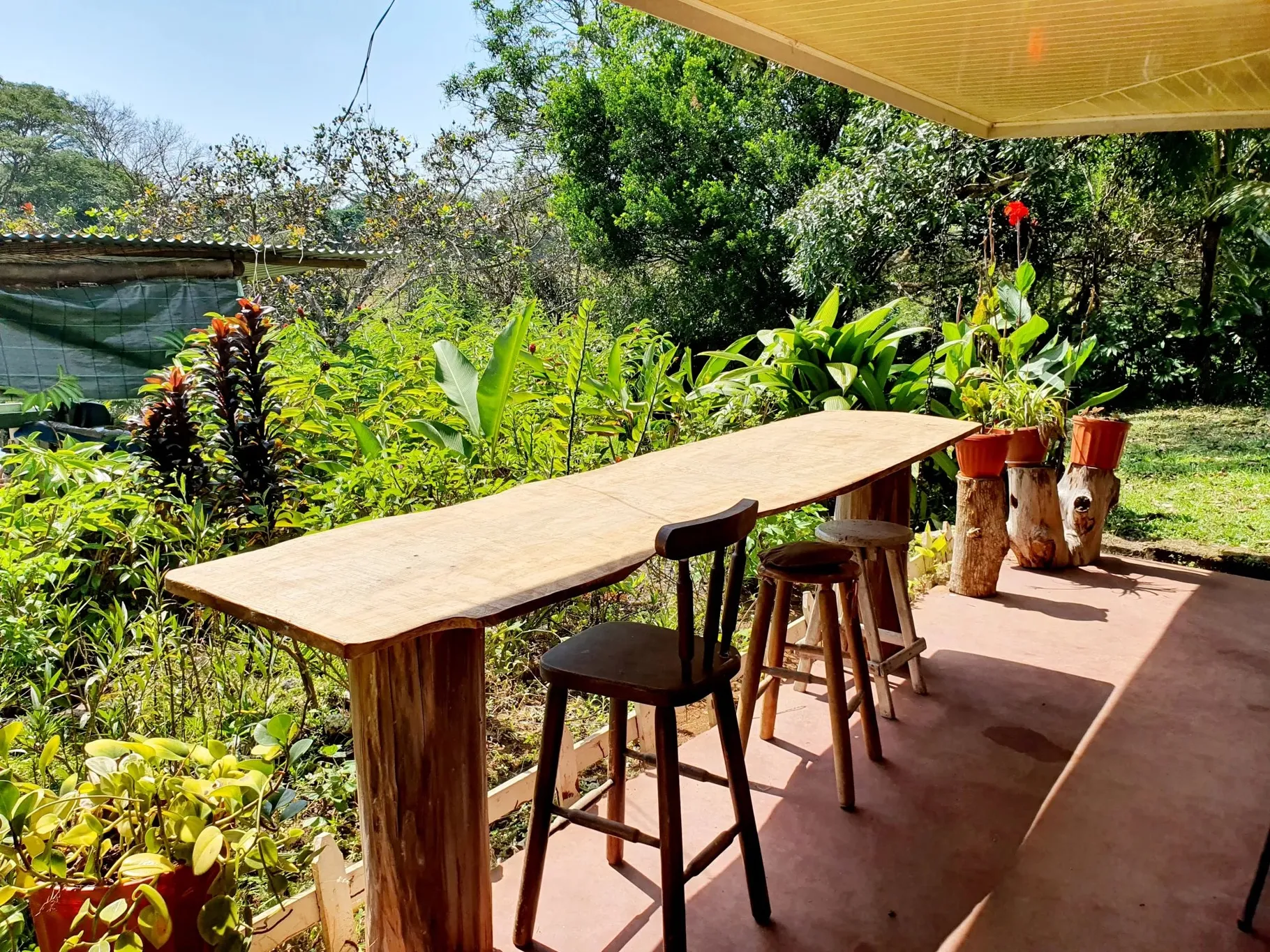Land to develop a country lifestyle! - image 6