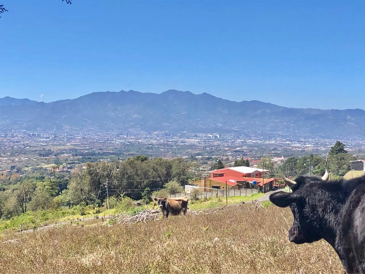 Sale / Beautiful Land (With Permission for Commercial Use) San Isidro, Heredia - image 10