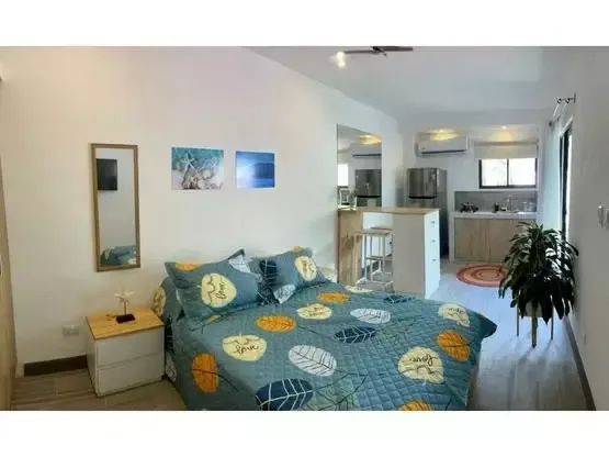 Beautiful House With 3 Apartments In Jaco - image 7