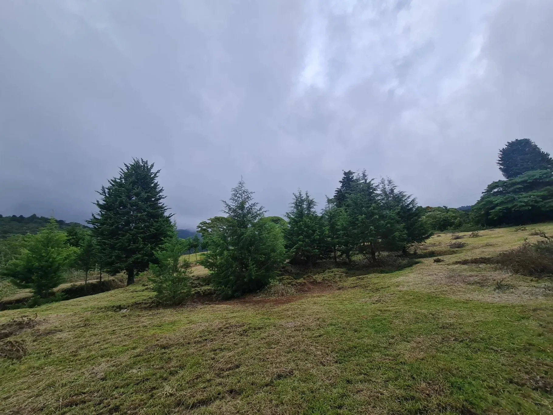 Farm for sale in San Isidro-Grecia, Alajuela - image 2