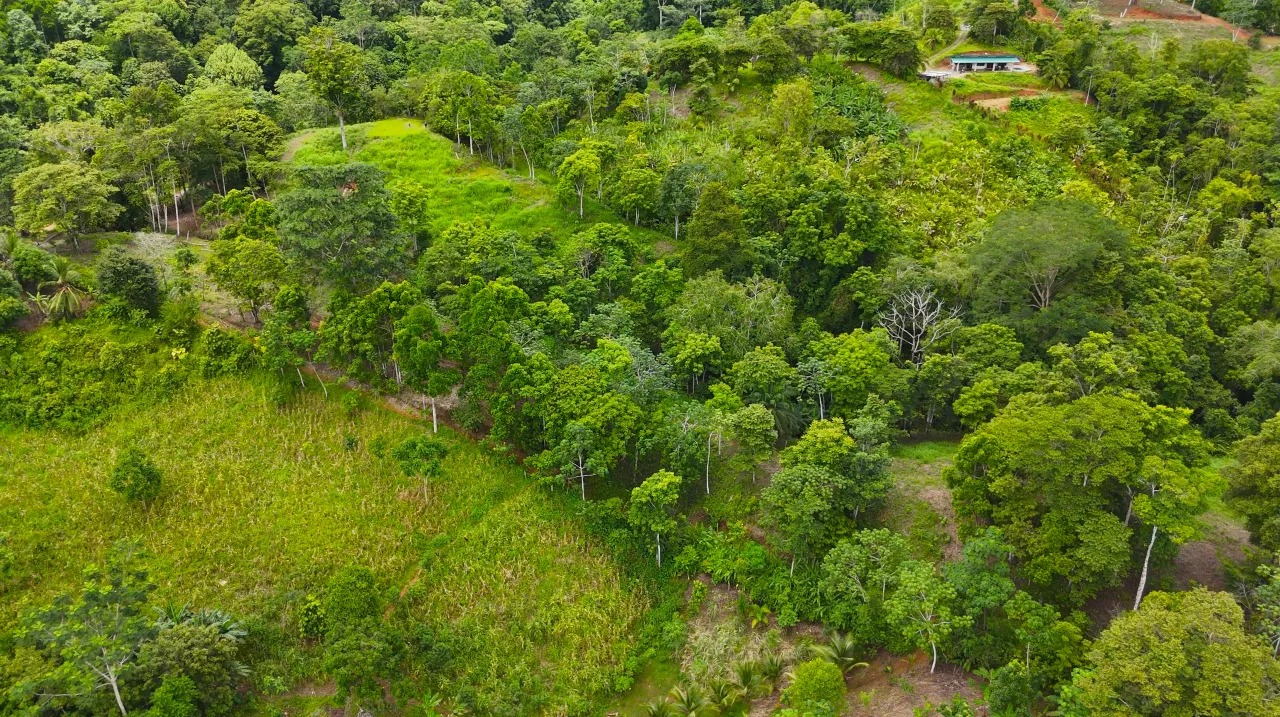 GULF VIEW PROPERTY IN PUERTO JIMENEZ, COSTA RICA - image 15