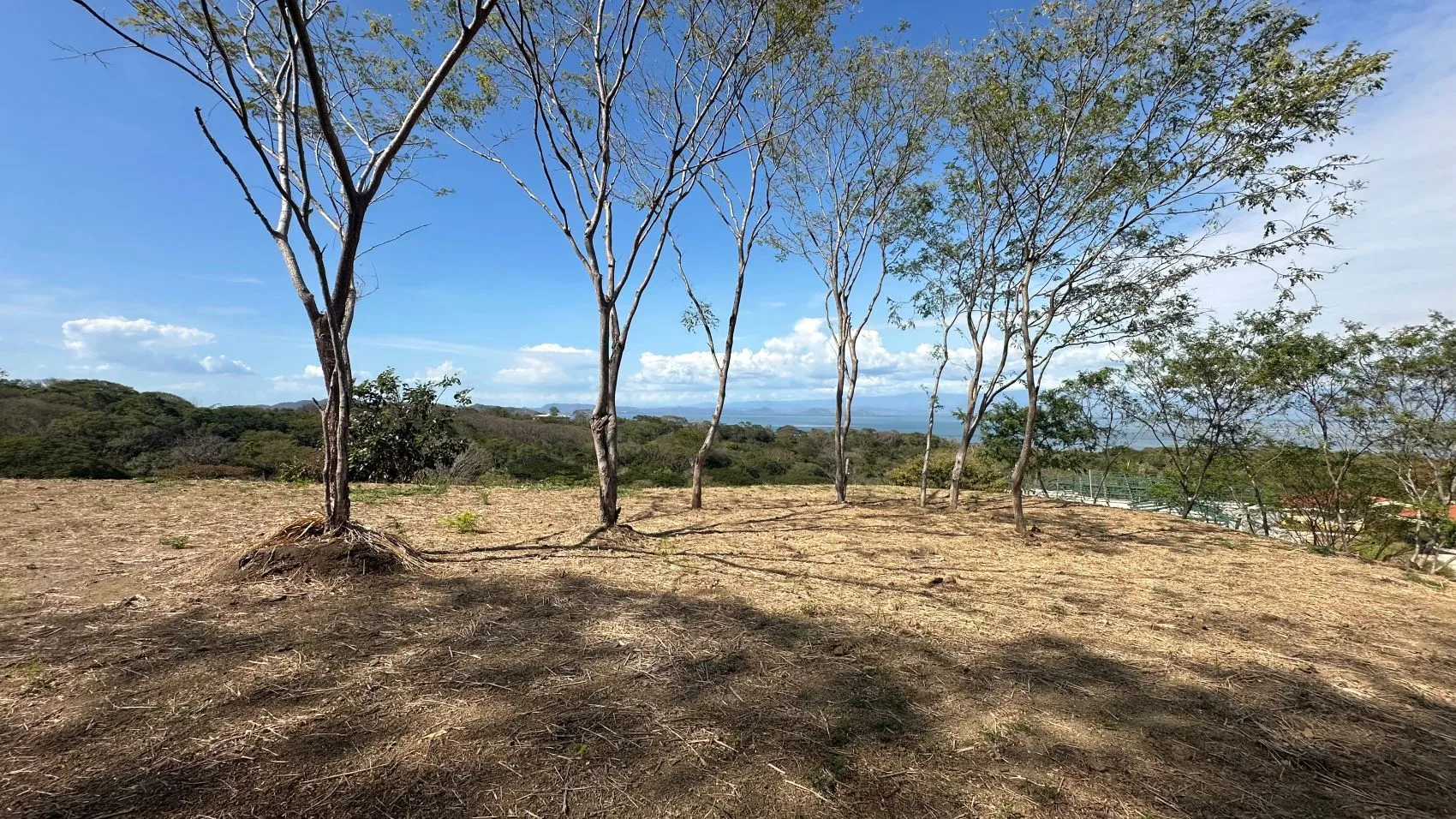 Incredible Ocean view lot in Roma del Mar - image 4