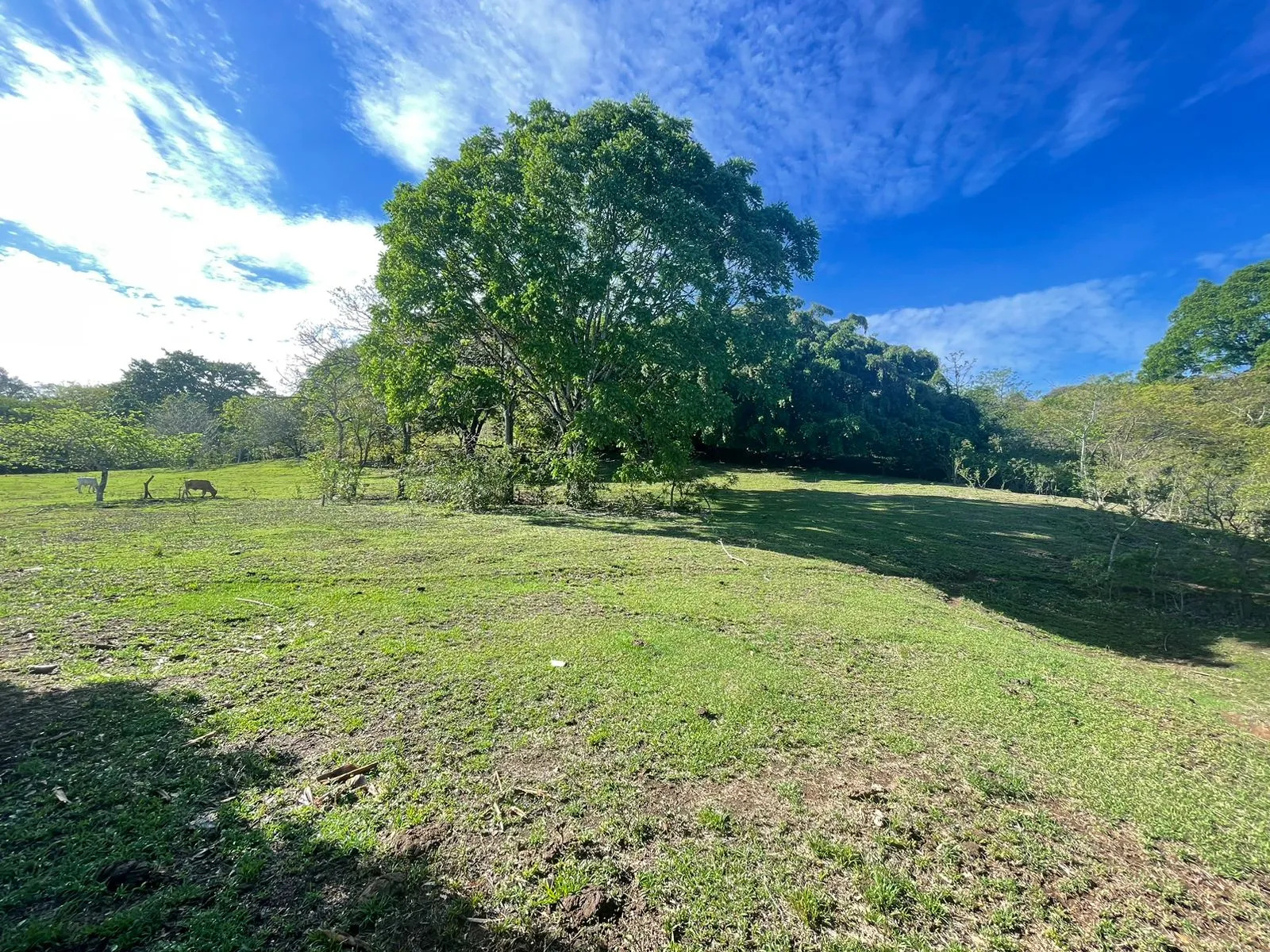For Sale: Land for Development in Santa Ana - image 10