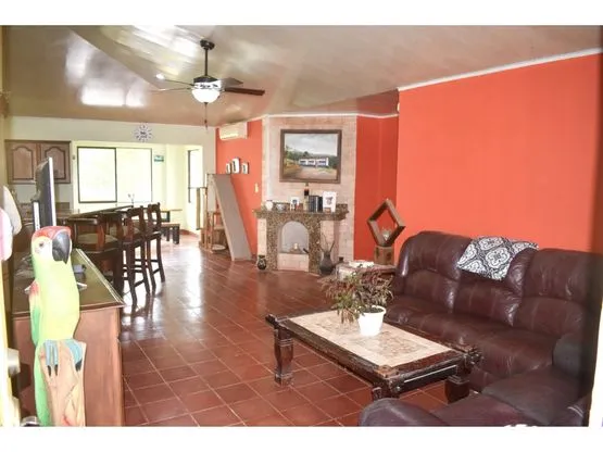 Siempre Farm and Sanctuary - image 4