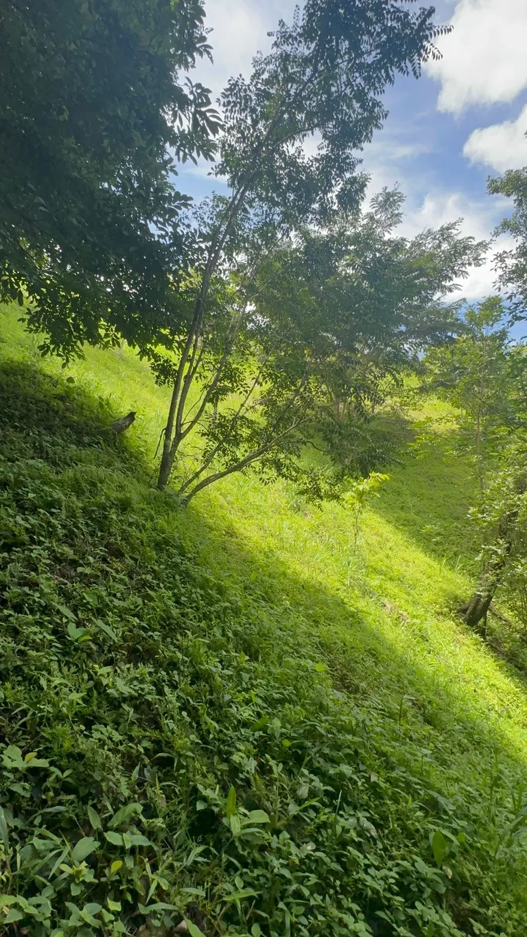 Build Your Future in Turrubares: Nature, Development, and Quality of Life - image 8