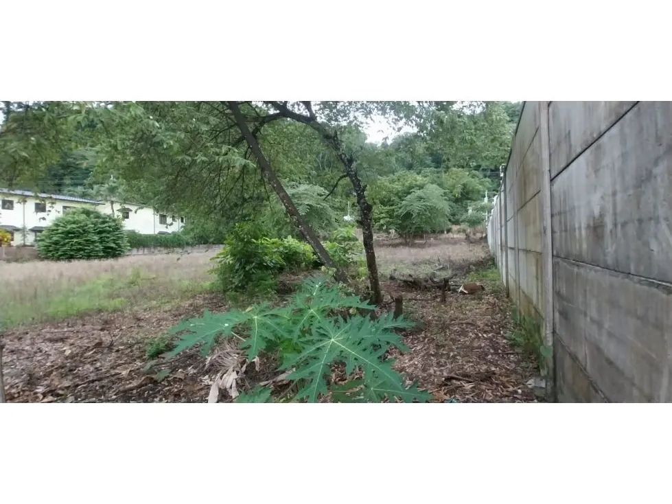  Lot Of Land With a Great Potential To Invesment - image 15