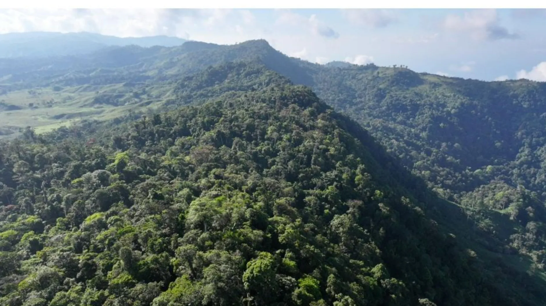 PARADISIACAL 335 ACRES PROPERTY WITH OCEAN VIEW TO UVITA, PUNTARENAS - image 9