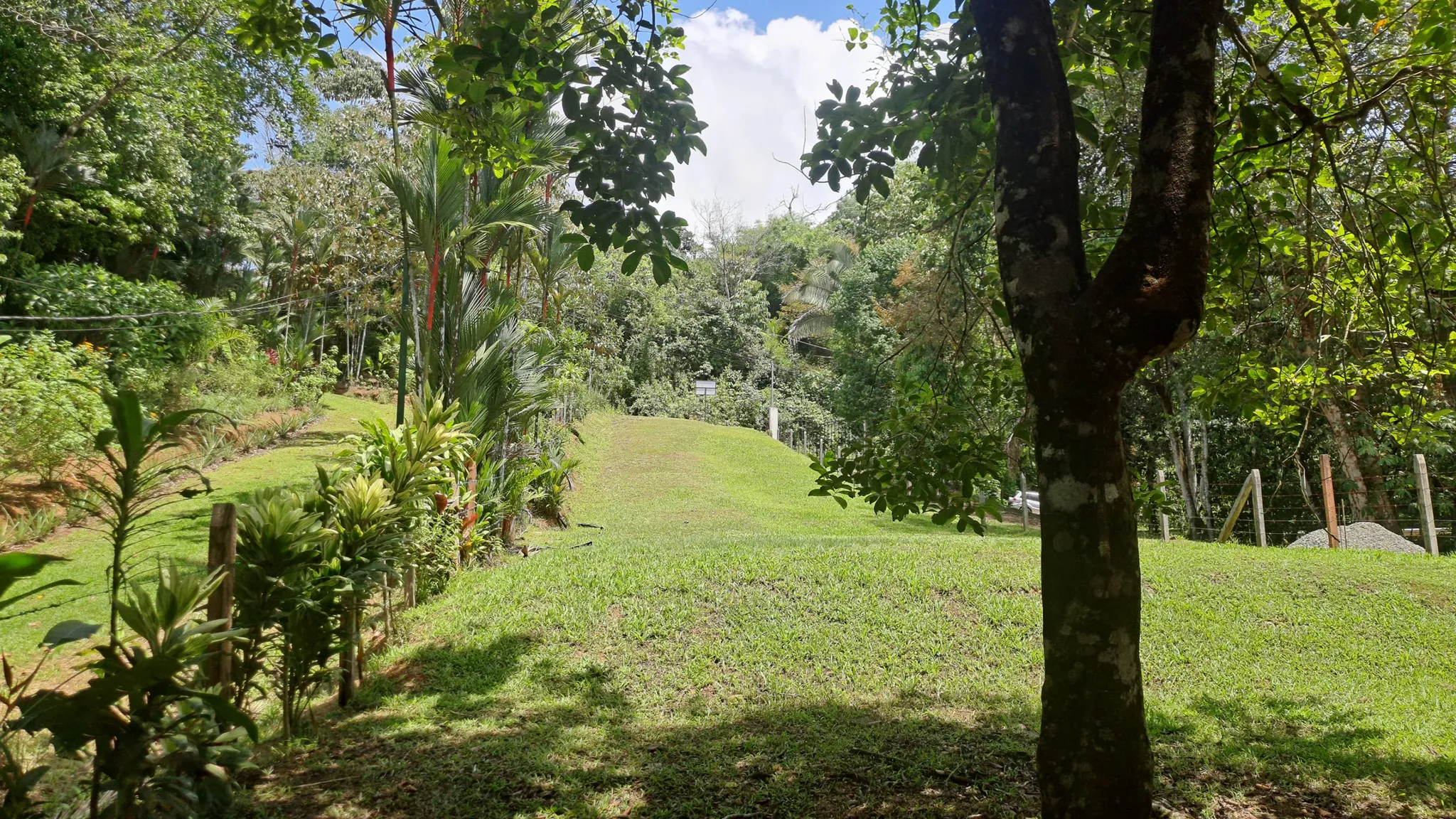Conveniently Located Property at Playa Hermosa in Uvita, Costa Rica - image 1