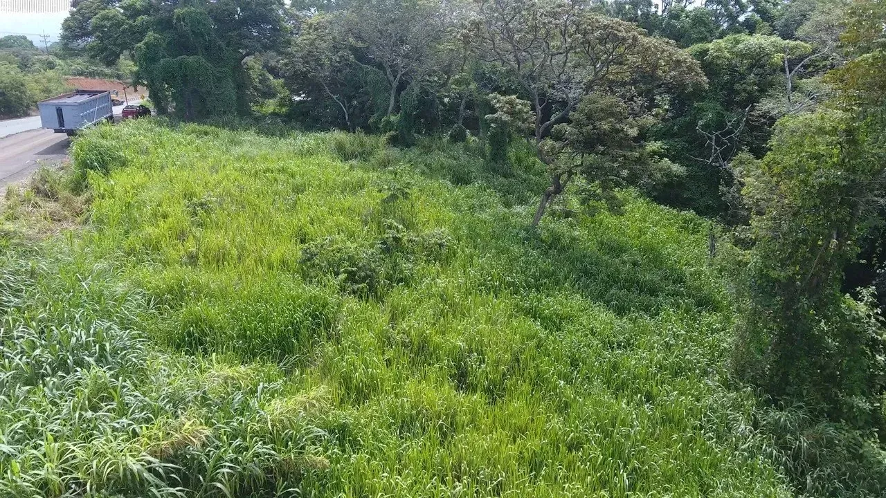 Spacious 10,288 sqm lot in La Garita, Alajuela - image 4