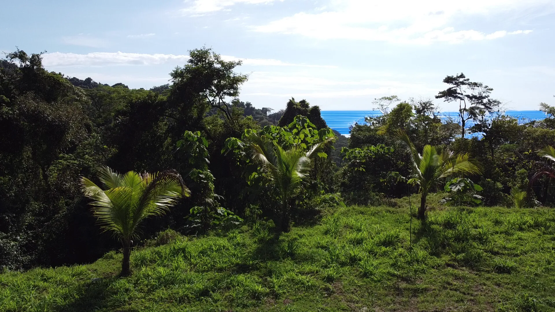 Ocean View Property in Mal País – Ready to Build - image 3