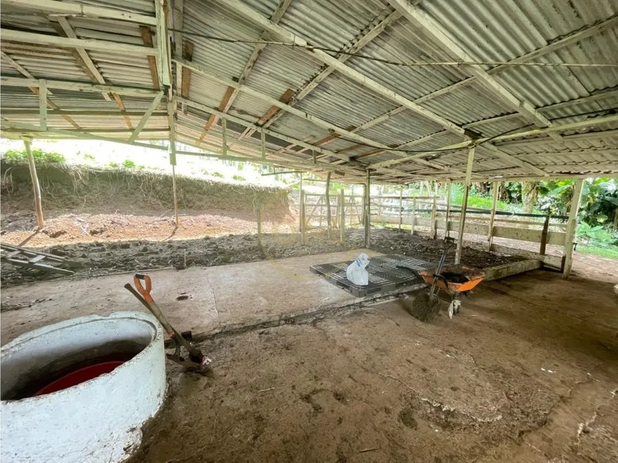 Venta Finca Puriscal - image 10