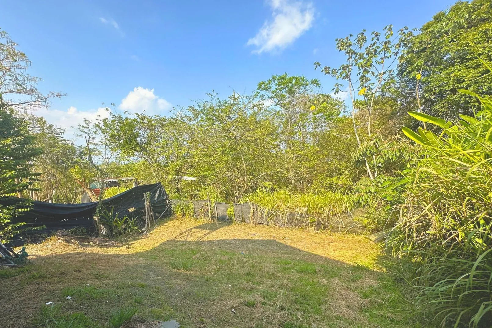 Affordable Investment with Expansion Potential in San Isidro, Santa Teresa - image 5