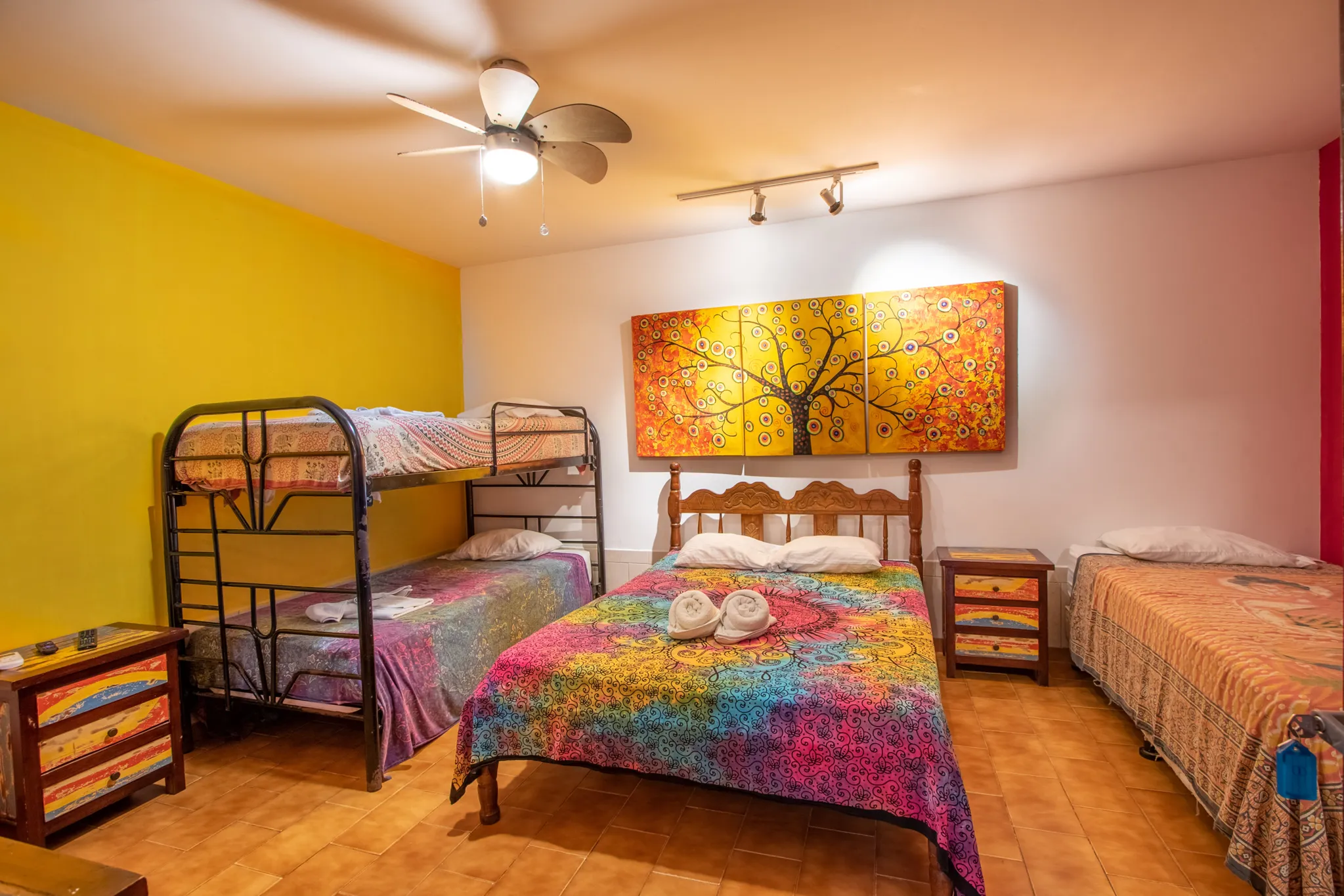 Budha House, Your Hotel and Comercial in the Heart of Jaco Main Street - image 10
