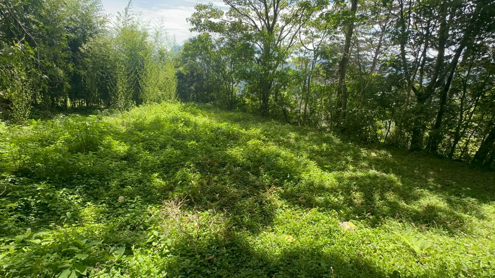 Land for Sale in Tarbaca a Natural and Tranquil Environment - image 2