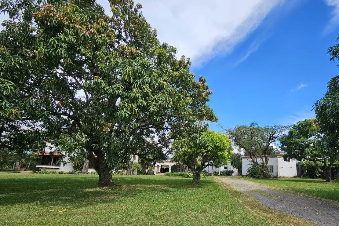 UNIQUE DEVELOPMENT PROPERTY IN SAN RAFAEL, ALAJUELA - image 14