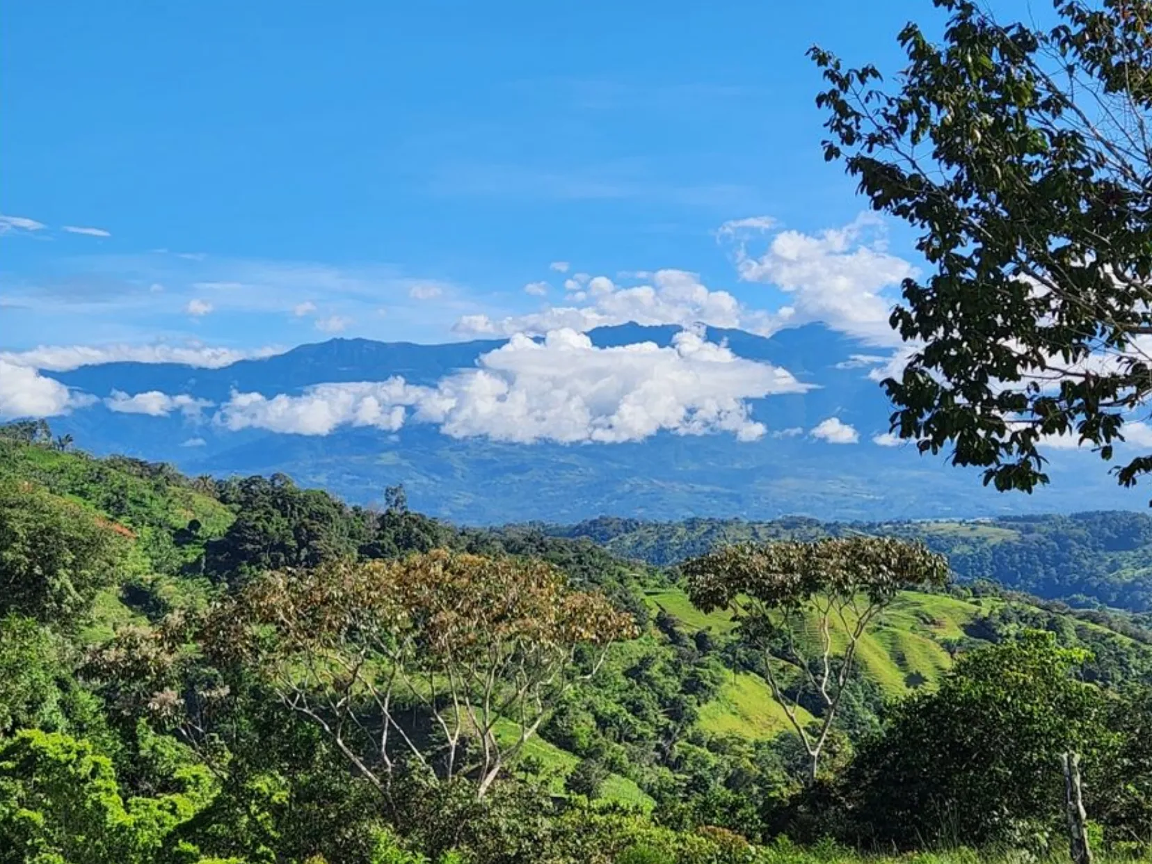 MOUNTAIN VIEW FARM & HOUSE IN PACUARITO, PEREZ ZELEDON - image 1