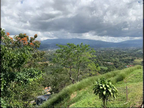 Condominium Lots with Perfect Views - image 3