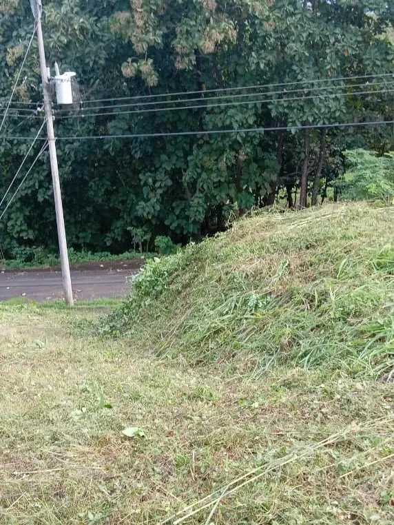 Prime Lot for Sale: 30 Minutes from the Beach – Peaceful and Growing Rural Area - image 2